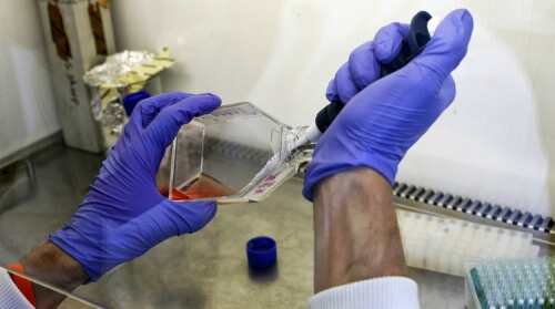 Testing bone marrow