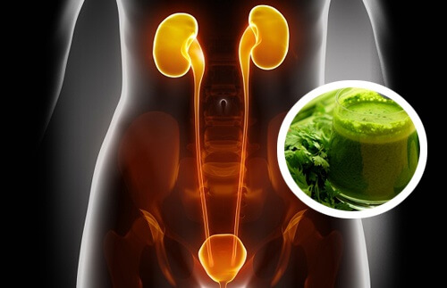 2 Diuretic Juices That Will Help Cleanse Your Kidneys