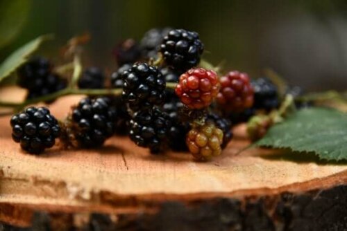 Some blackberries on a log.
