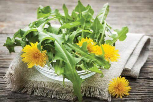 Dandelion flowers