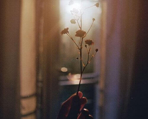 Small flowers against sunlight representing value