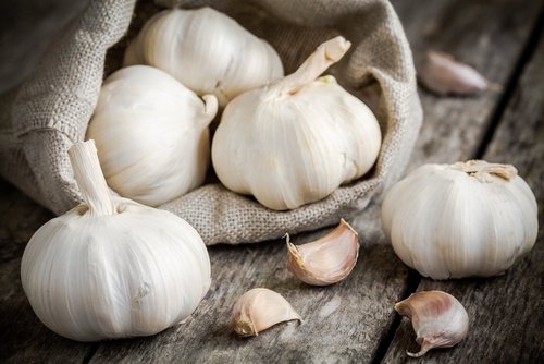 garlic