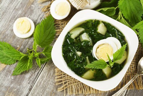 Nettle soup is good for your heavy period
