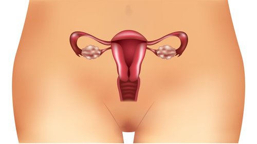 Symptoms of Polycystic Ovarian Syndrome (PCOS)