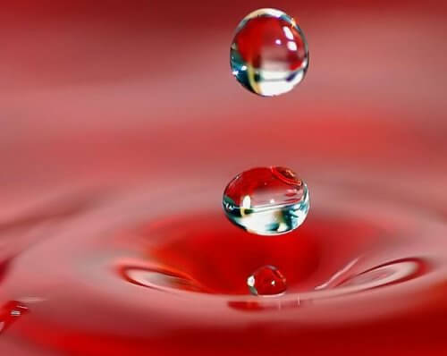 Fluid minds don't practice self reflection