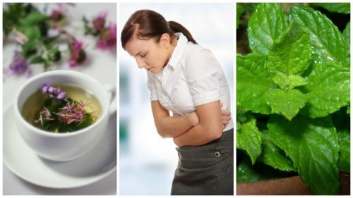 Relieve Irritable Bowel Syndrome with These Seven Herbs