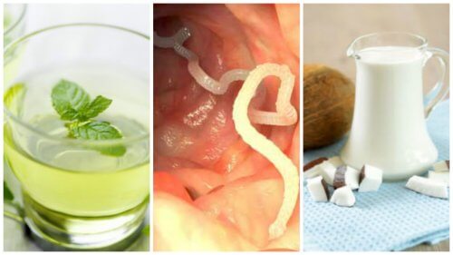 Five Home Remedies for Intestinal Parasites