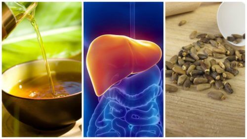 Six Alternative Treatments For Fatty Liver