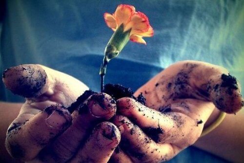 Love Should Be Nurtured and Nourished Every Day to Flourish