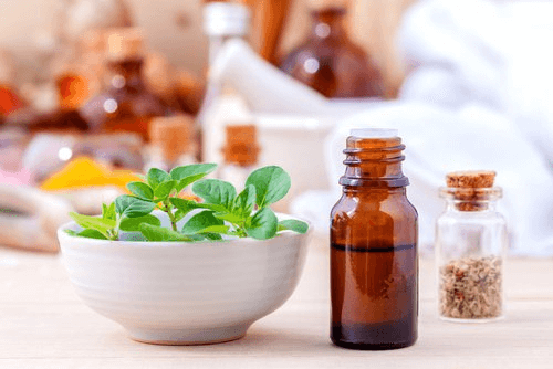 Oregano leaves to improve lung health