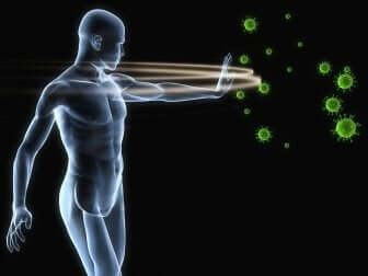 A representation of the immune system.