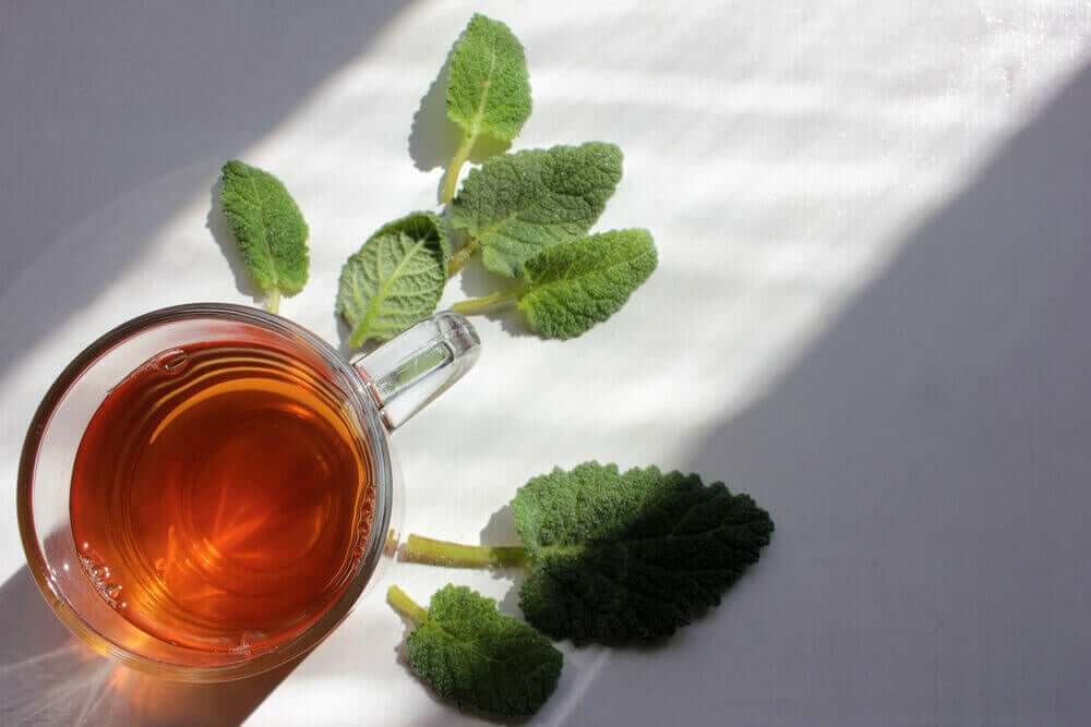 A cup of sage infusion.