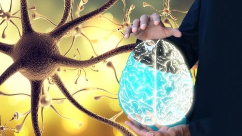 How to Wake Up Your Vagus Nerve for Better Health