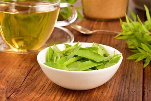 Verbena tea.
