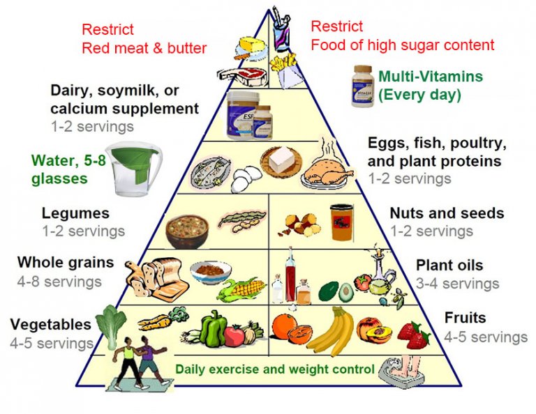 Food Pyramid Chart 2024 Dolli Gabriel