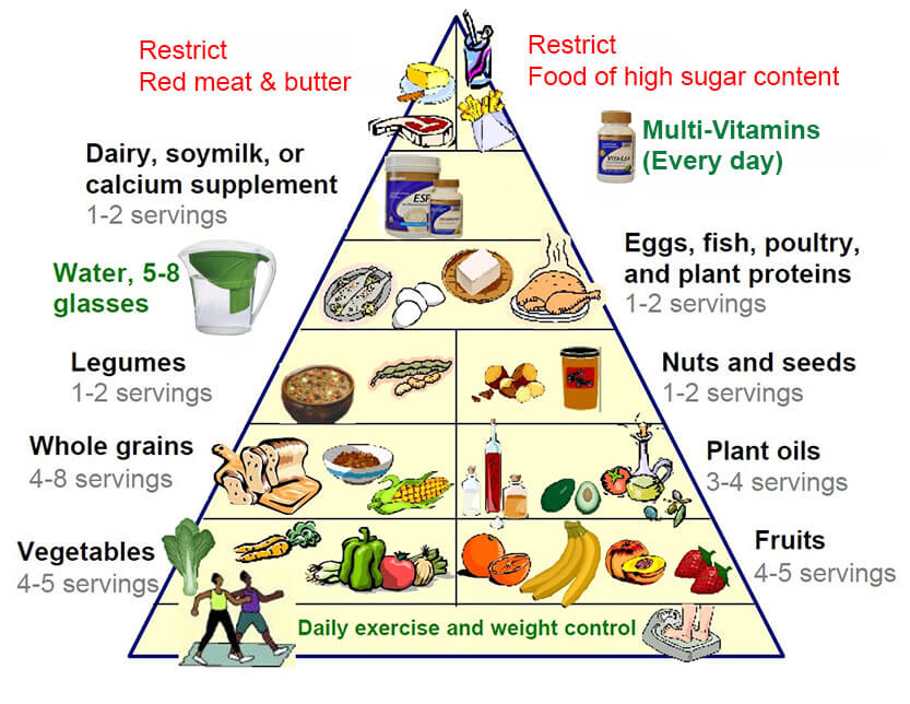 Balanced Diet Food Pyramid