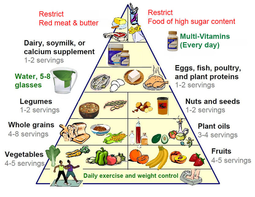 The New Food Pyramid is Key to a Healthier Life