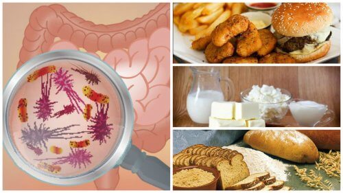 what foods are bad for your colon)