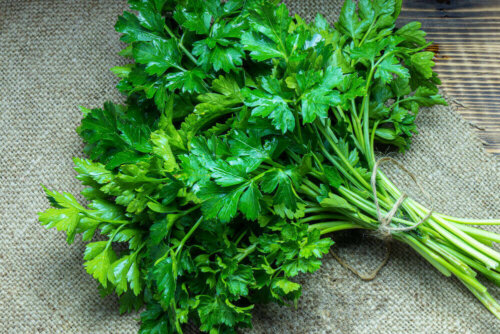 A bundle of parsley on a mat.