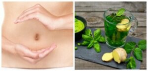 Eight Benefits of Drinking Basil Tea Every Day