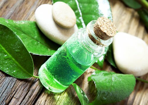Tea tree oil