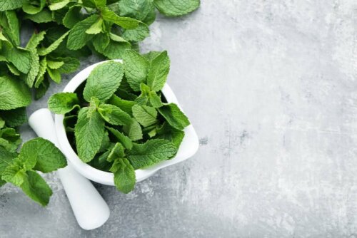 Some mint in a cup.