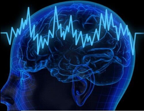 Brain activity scan benefits of eating eggplant