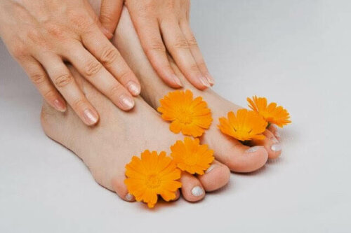 Common marigold on the feet.