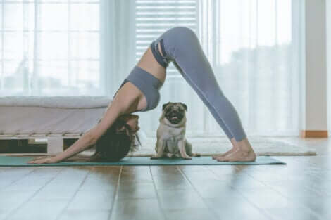 A woman doing the downward facing dog.