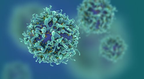 Two Spanish Hospitals Test a New Cancer Medication