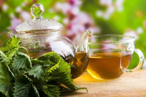 Nettle tea for leg cramps