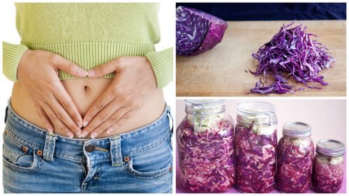How Purple Sauerkraut Can Strengthen Intestinal Flora