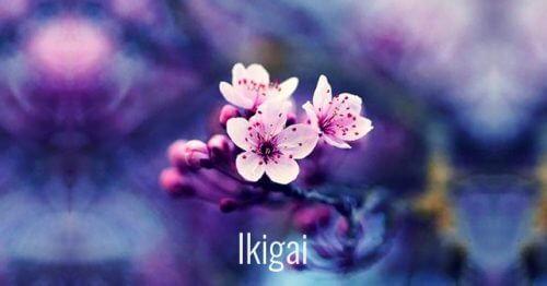 7 Beautiful Japanese Words to Facilitate Personal Growth