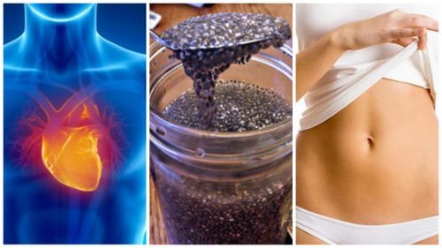 8 Reasons to Start Including Chia Seeds in Your Diet 8 Reasons to Start Including Chia Seeds in Your Diet