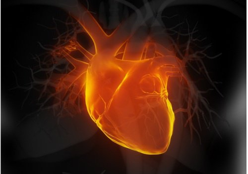 Watch for These 6 Early Signs of Heart Failure Watch for These 6 Early Signs of Heart Failure