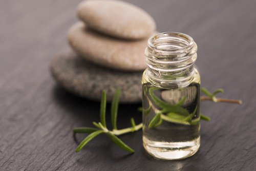 Rosemary extract