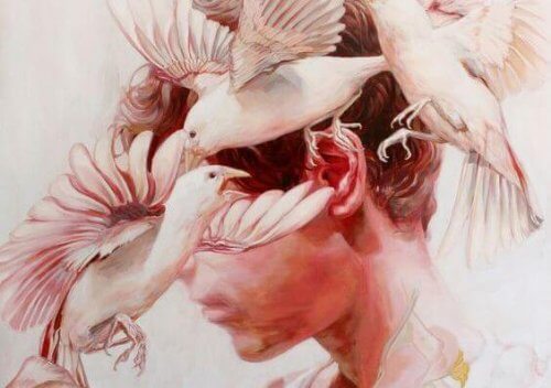 doves-and-boy