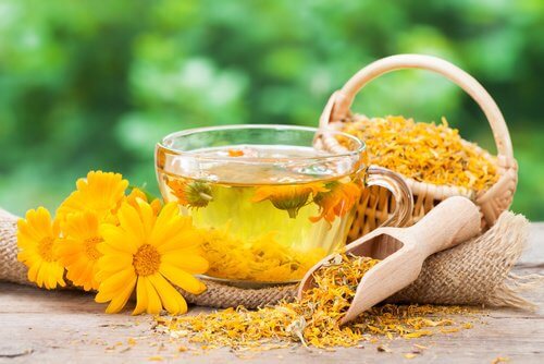 Marigold and mallow can help with vaginal dryness and its symptoms