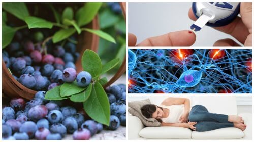 Blueberries: 8 Amazing Benefits You need to Know