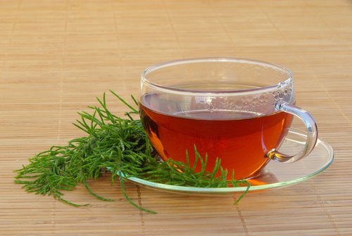 A cup of horsetail tea.