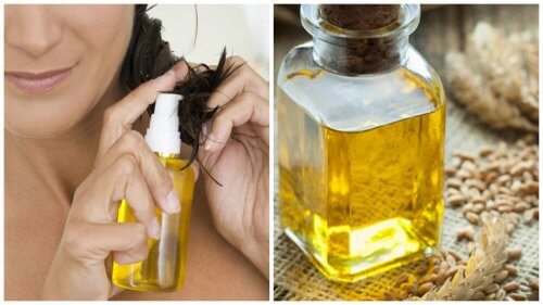 6 Ways Wheat Germ Oil Helps Your Hair