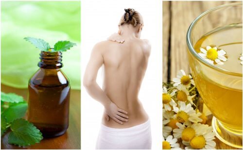 7 Natural Muscle Relaxants for Muscle Tension 7 Natural Muscle Relaxants for Muscle Tension