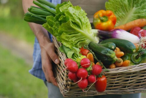 A basket full of fresh vegetables.