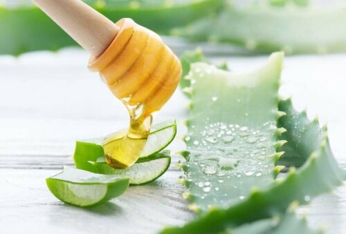A person pouring honey on some chunks of aloe vera.