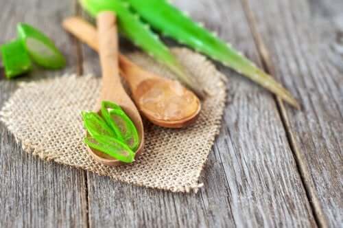 Five Ways in Which Aloe Vera is Good for Your Heart
