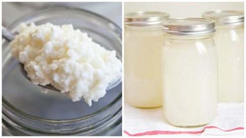 Coconut Water Kefir Recipe to Improve Your Health