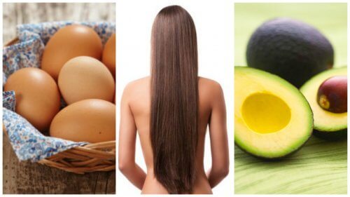 Healthy Hair Growth: Fast Results with These 8 Foods!