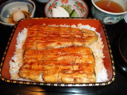 unhealthy fish