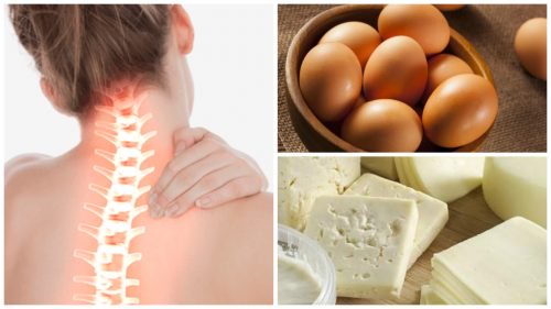 Strengthen Your Bone Health by Including These 8 Calcium Rich Foods in Your Diet