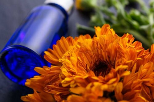 Some arnica oil beside a flower.